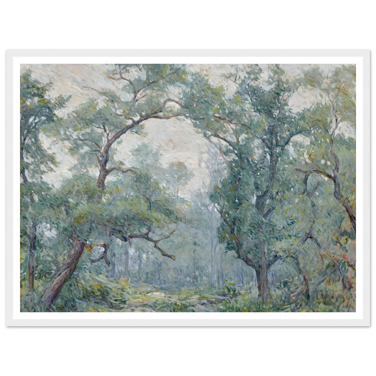 Old Willows Art Print | Robert Reid - Framed Poster - 30x40 cm / 12x16″ - Black frame