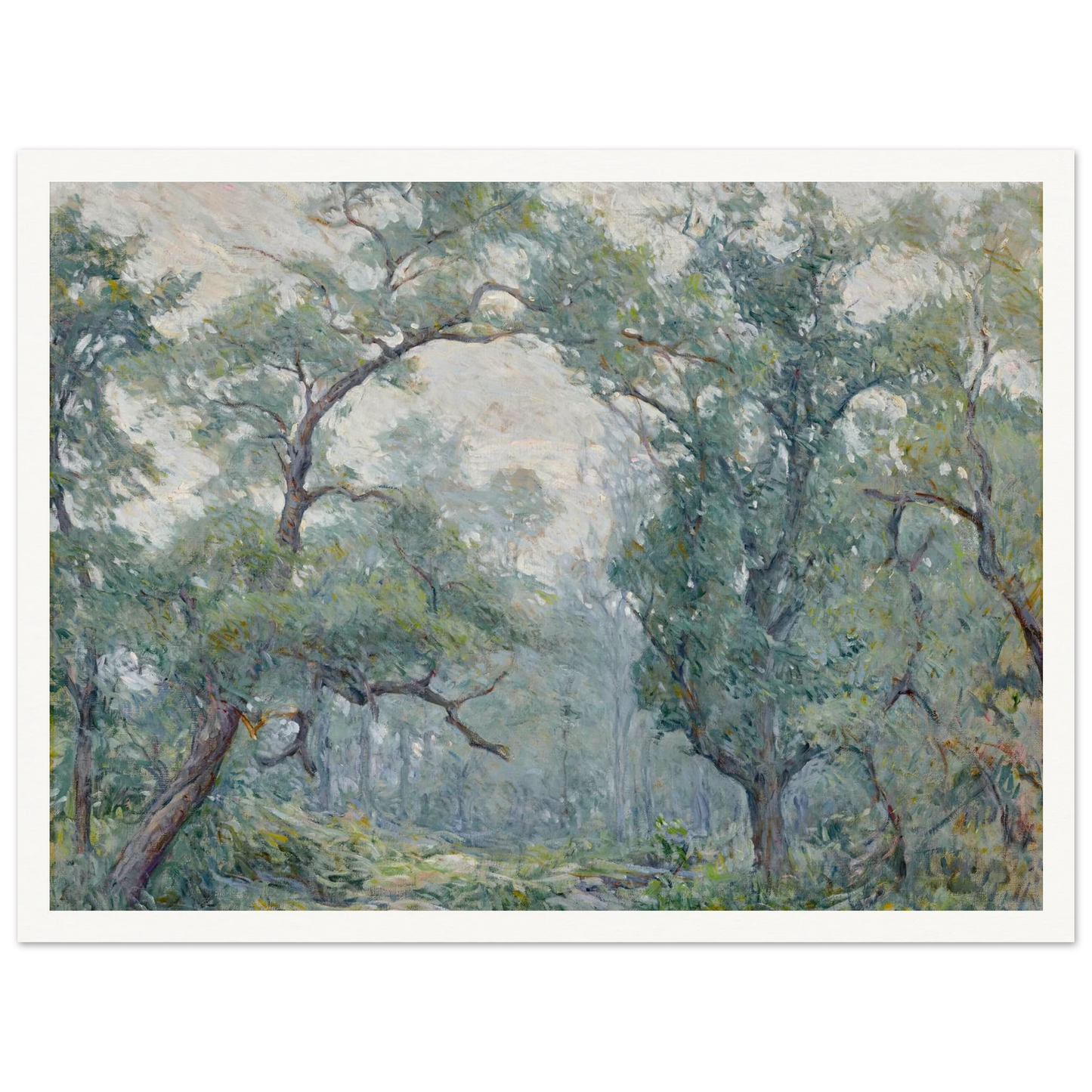 Old Willows Art Print | Robert Reid - Framed Poster - 30x40 cm / 12x16″ - Black frame