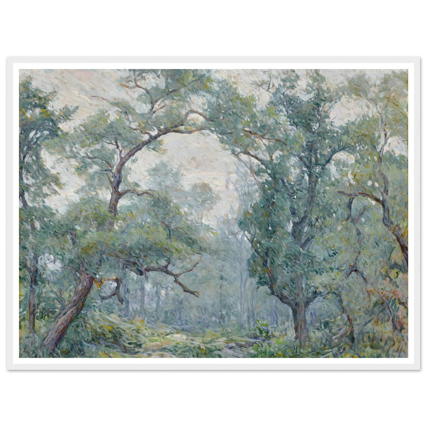 Old Willows Art Print | Robert Reid - Framed Poster - 30x40 cm / 12x16″ - Black frame