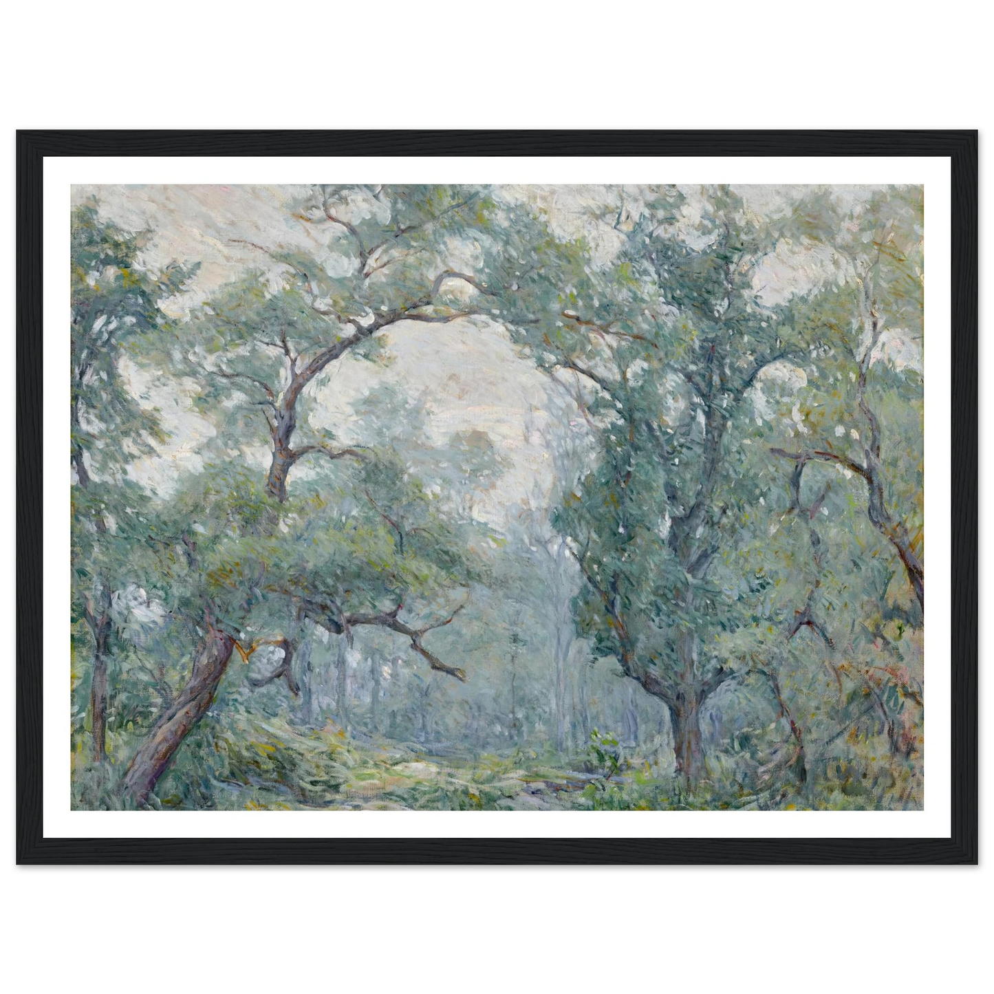 Old Willows Art Print | Robert Reid - Framed Poster - 30x40 cm / 12x16″ - Black frame