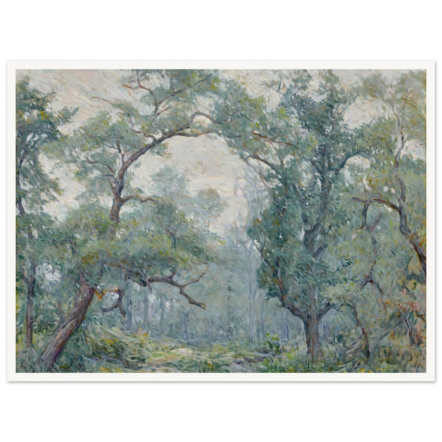 Old Willows Art Print | Robert Reid - Framed Poster - 30x40 cm / 12x16″ - Black frame