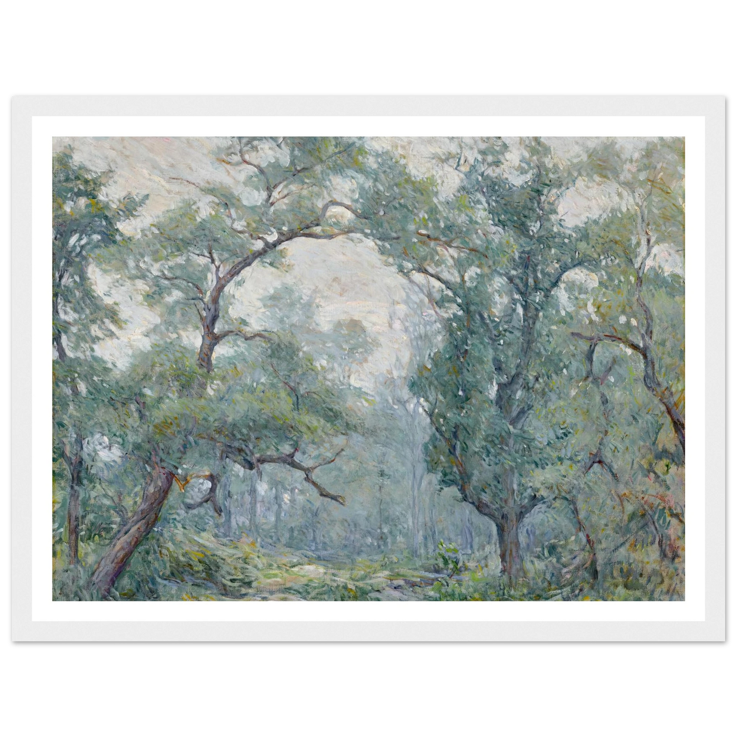 Old Willows Art Print | Robert Reid - Framed Poster - 30x40 cm / 12x16″ - Black frame