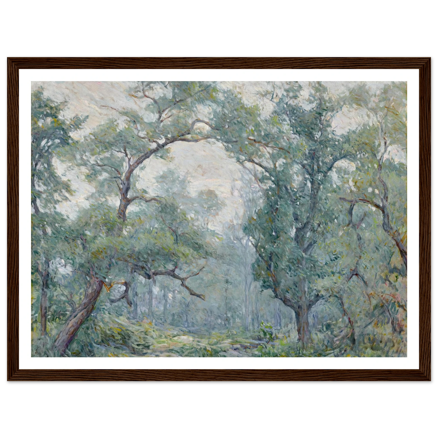 Old Willows Art Print | Robert Reid - Framed Poster - 30x40 cm / 12x16″ - Black frame