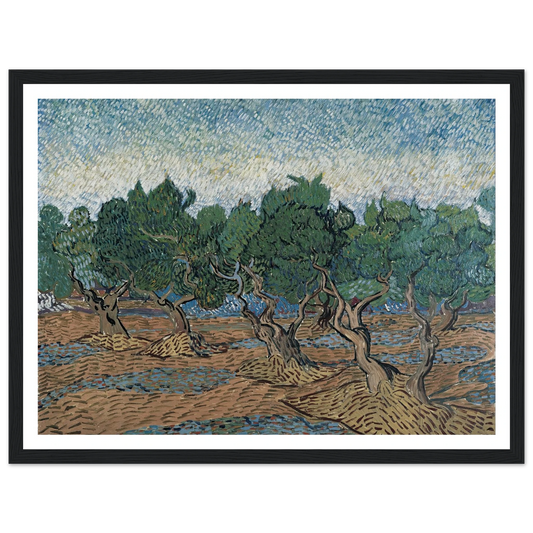 Olive grove Art Print | Vincent van Gogh - Framed Poster - 30x40 cm / 12x16″ - Black frame
