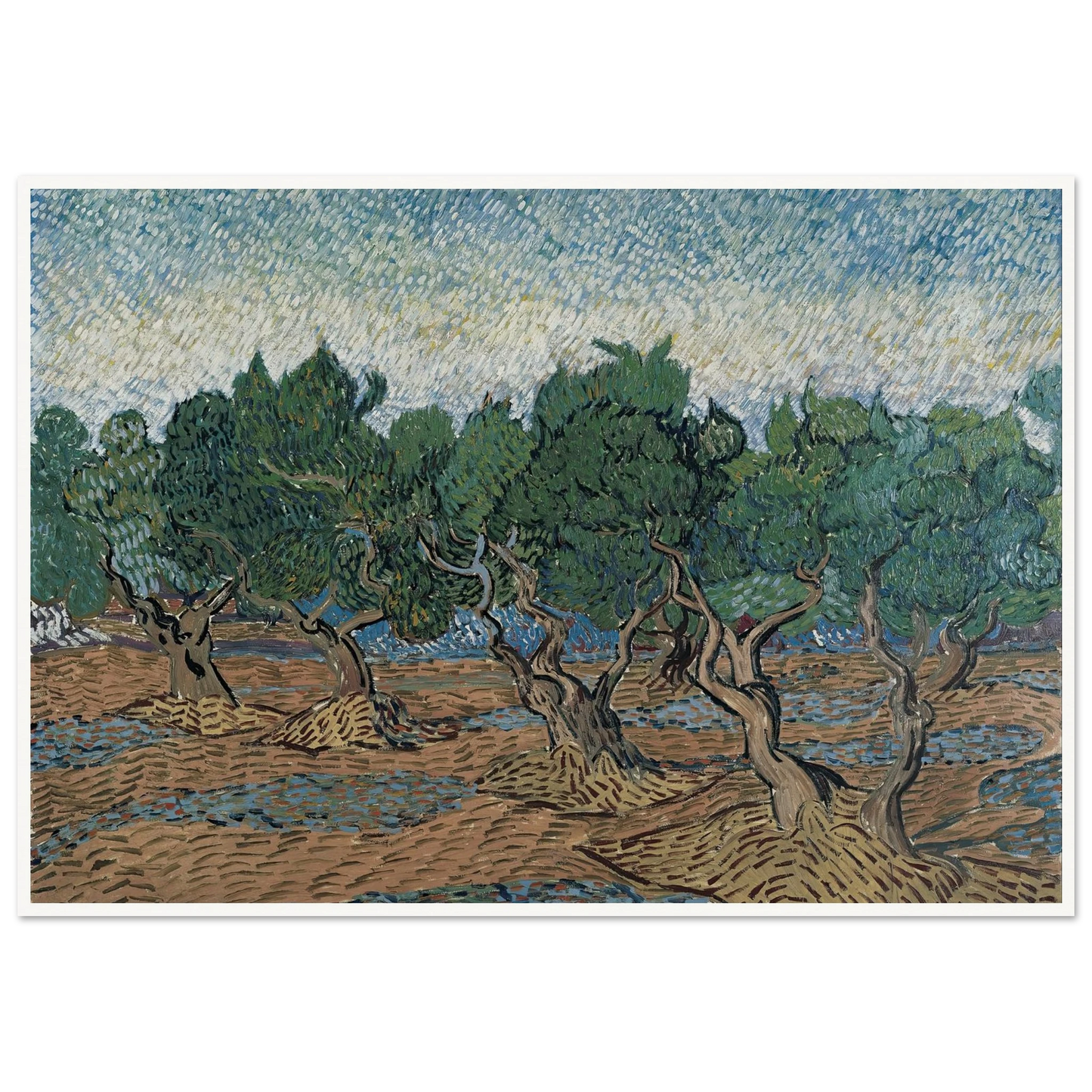 Olive grove Art Print | Vincent van Gogh - Framed Poster - 30x40 cm / 12x16″ - Black frame