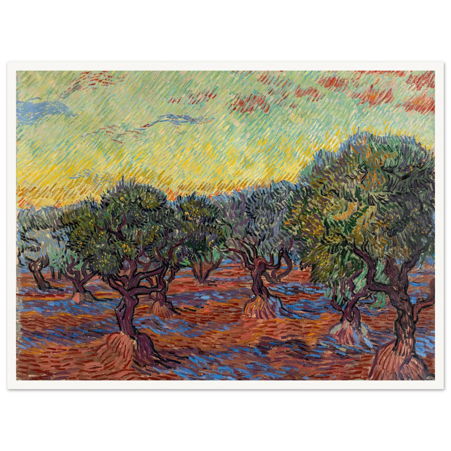 Olive Grove, Saint-Rémy (1889) Art Print | Vincent van Gogh - Framed Poster - 30x40 cm / 12x16″ - Black frame