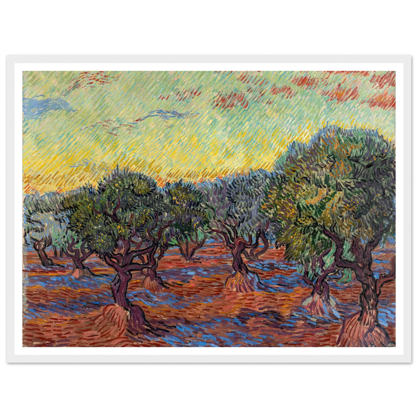 Olive Grove, Saint-Rémy (1889) Art Print | Vincent van Gogh - Framed Poster - 30x40 cm / 12x16″ - Black frame