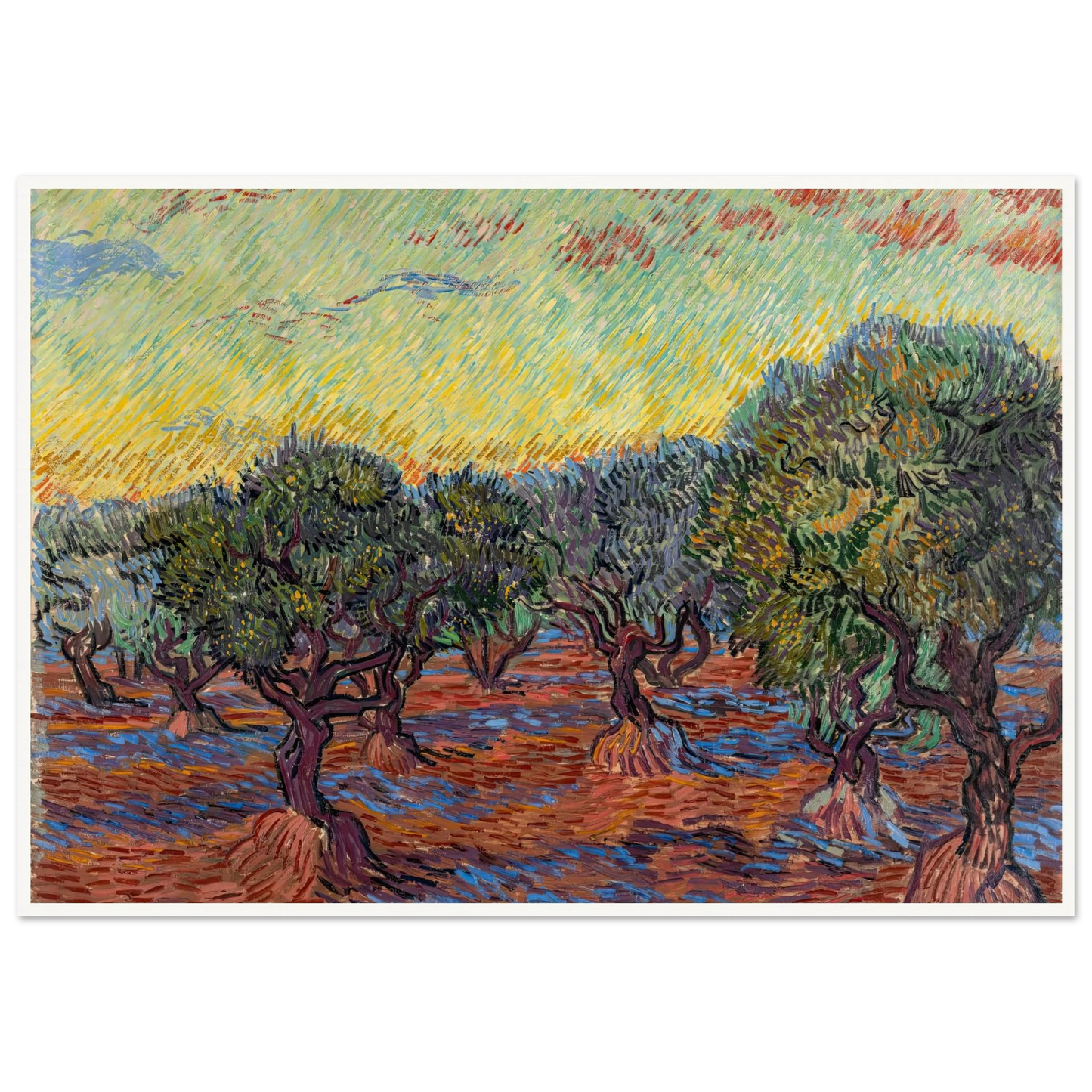 Olive Grove, Saint-Rémy (1889) Art Print | Vincent van Gogh - Framed Poster - 30x40 cm / 12x16″ - Black frame