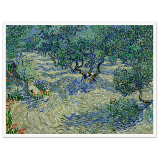 Olive Orchard Art Print | Vincent van Gogh - Framed Poster - 30x40 cm / 12x16″ - Black frame