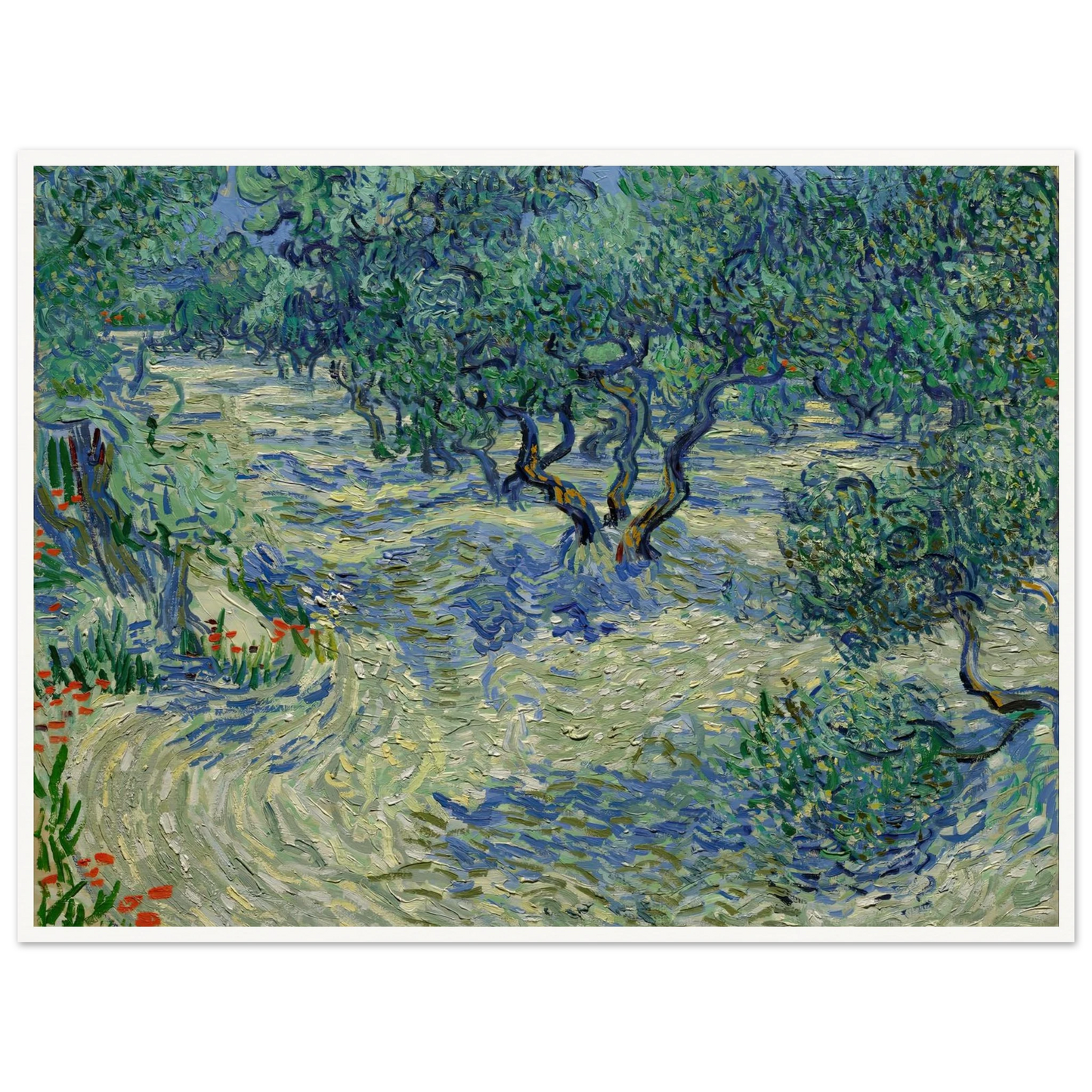 Olive Orchard Art Print | Vincent van Gogh - Framed Poster - 30x40 cm / 12x16″ - Black frame