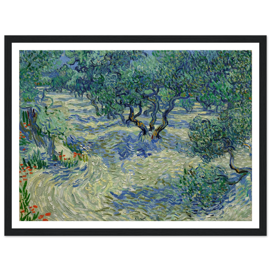 Olive Orchard Art Print | Vincent van Gogh - Framed Poster - 30x40 cm / 12x16″ - Black frame