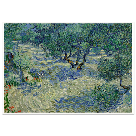 Olive Orchard Art Print | Vincent van Gogh - Framed Poster - 30x40 cm / 12x16″ - Black frame