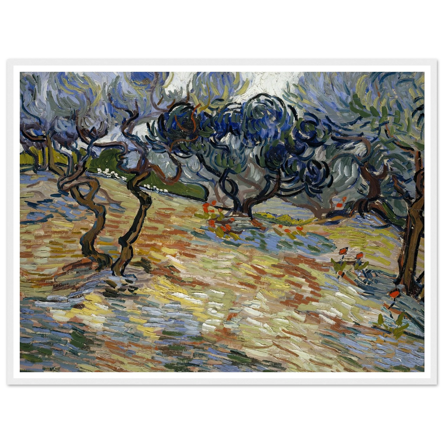 Olive Trees Art Print | Vincent van Gogh - Framed Poster - 30x40 cm / 12x16″ - Black frame