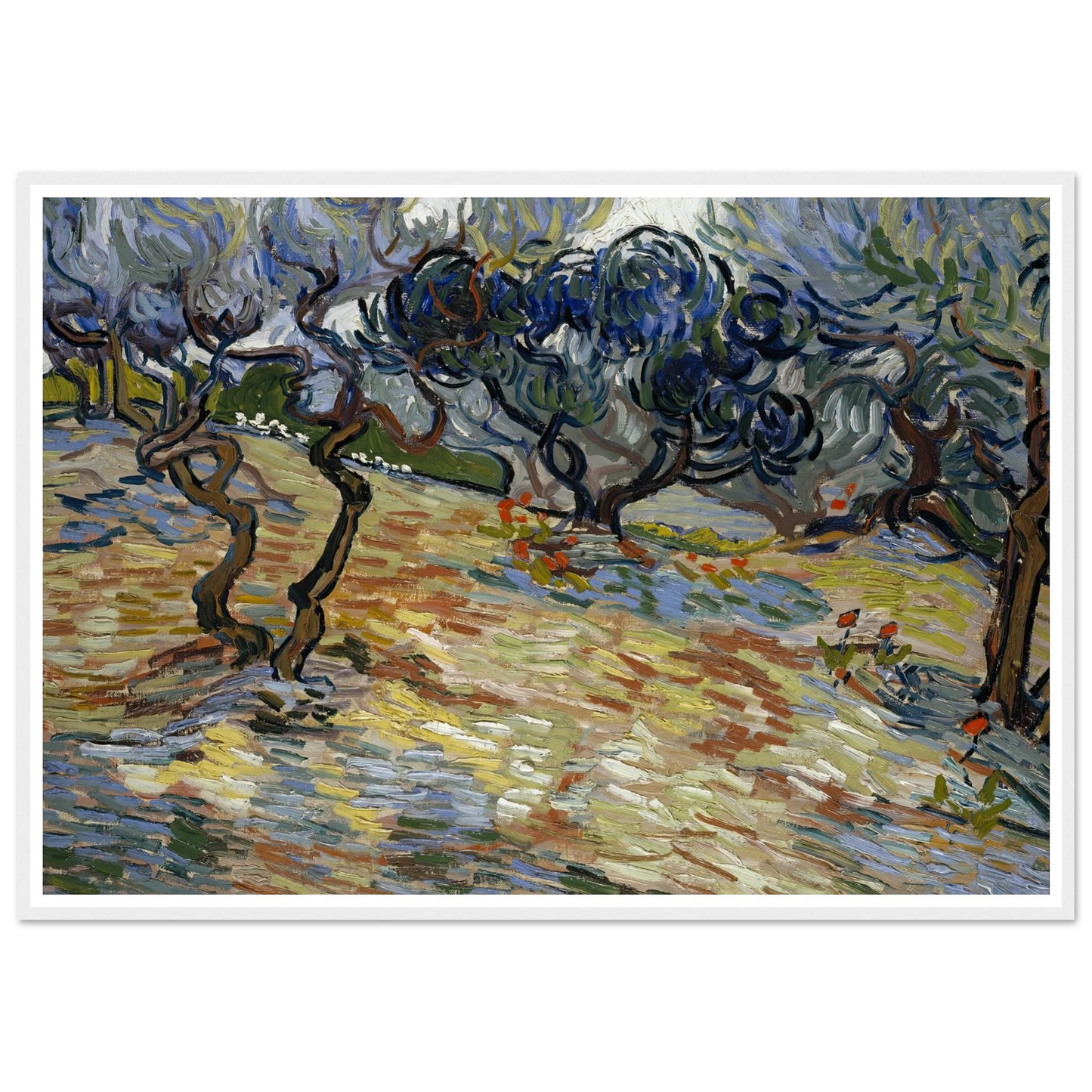 Olive Trees Art Print | Vincent van Gogh - Framed Poster - 30x40 cm / 12x16″ - Black frame
