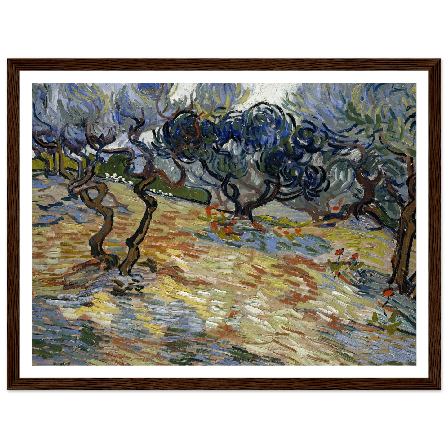 Olive Trees Art Print | Vincent van Gogh - Framed Poster - 30x40 cm / 12x16″ - Black frame