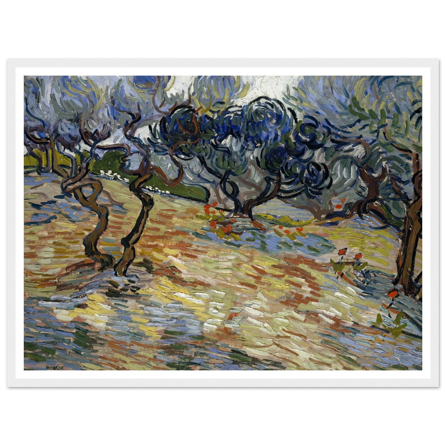 Olive Trees Art Print | Vincent van Gogh - Framed Poster - 30x40 cm / 12x16″ - Black frame