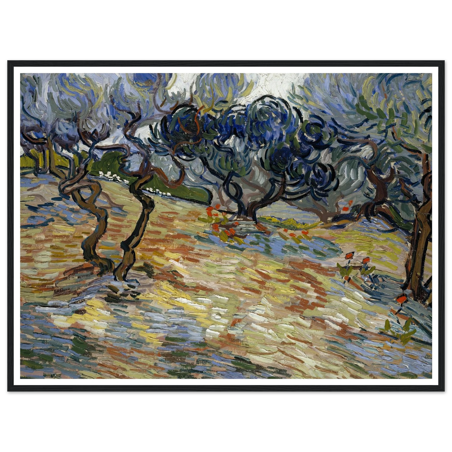 Olive Trees Art Print | Vincent van Gogh - Framed Poster - 30x40 cm / 12x16″ - Black frame