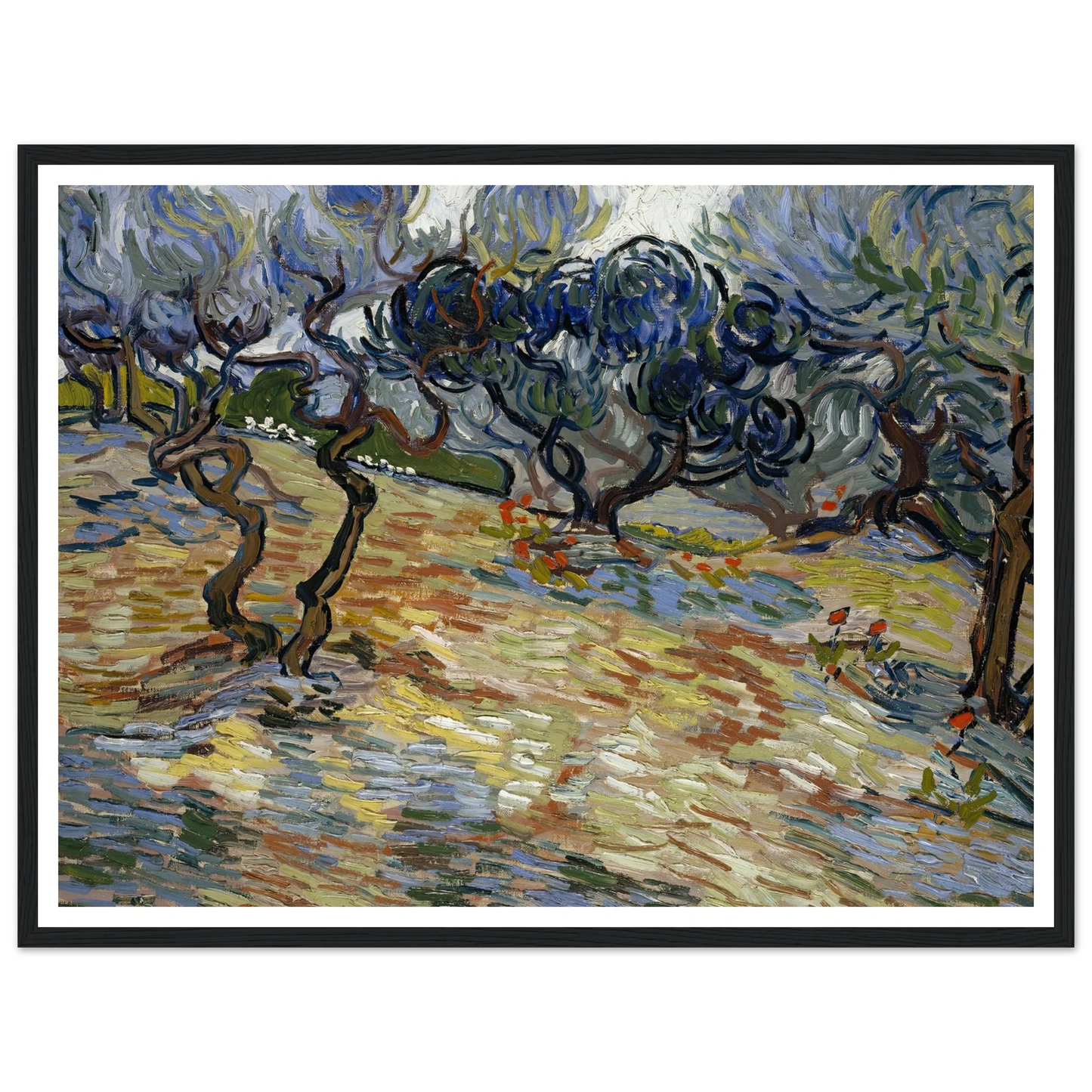 Olive Trees Art Print | Vincent van Gogh - Framed Poster - 30x40 cm / 12x16″ - Black frame