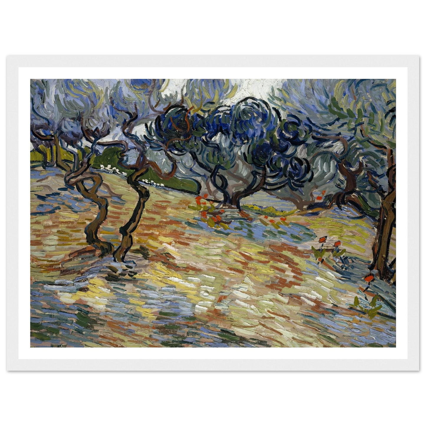 Olive Trees Art Print | Vincent van Gogh - Framed Poster - 30x40 cm / 12x16″ - Black frame