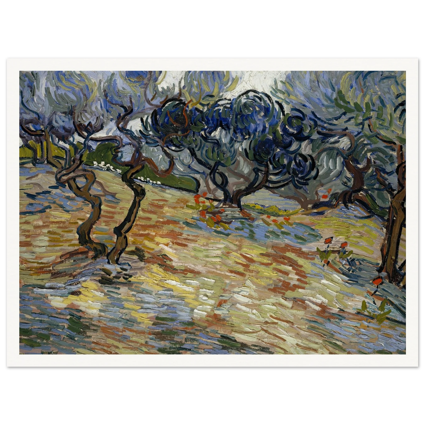Olive Trees Art Print | Vincent van Gogh - Framed Poster - 30x40 cm / 12x16″ - Black frame