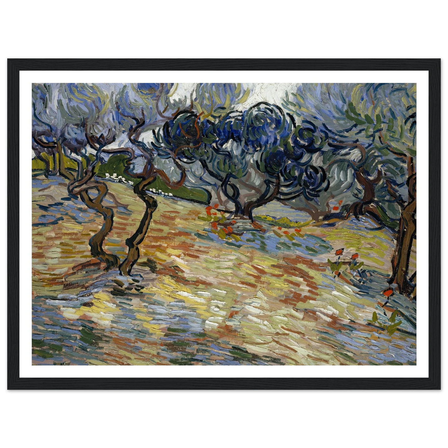 Olive Trees Art Print | Vincent van Gogh - Framed Poster - 30x40 cm / 12x16″ - Black frame