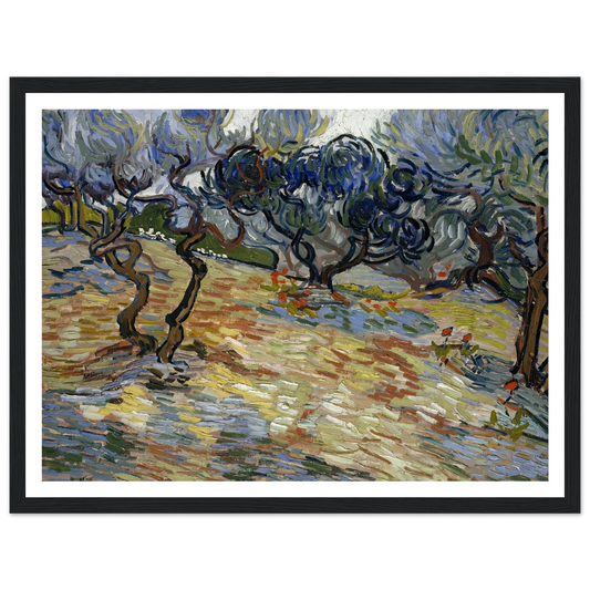 Olive Trees Art Print | Vincent van Gogh - Framed Poster - 30x40 cm / 12x16″ - Black frame