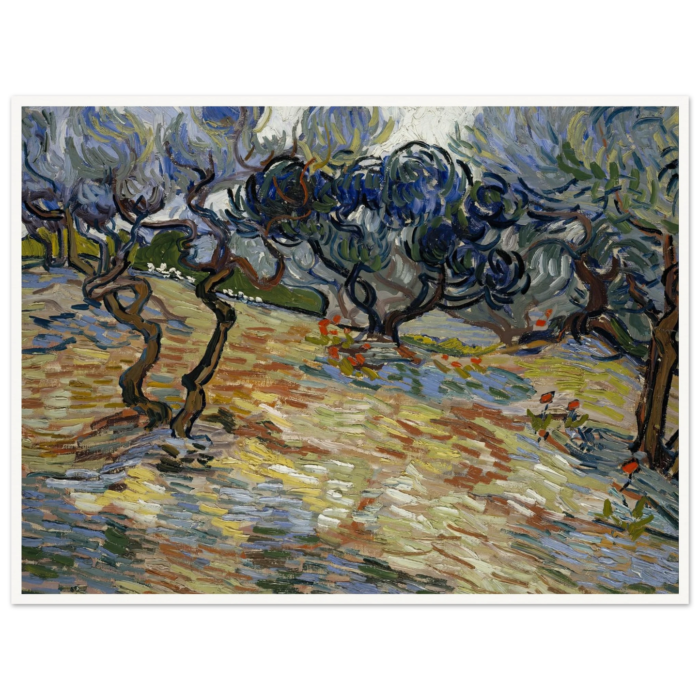 Olive Trees Art Print | Vincent van Gogh - Framed Poster - 30x40 cm / 12x16″ - Black frame