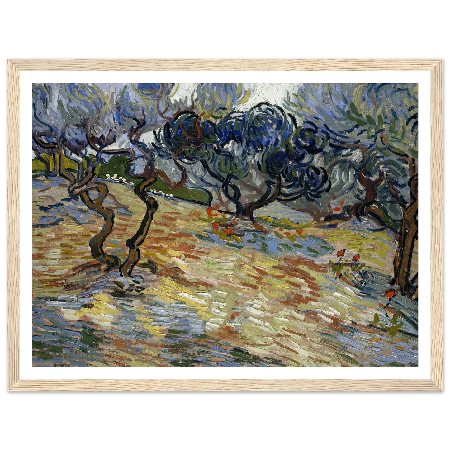 Olive Trees Art Print | Vincent van Gogh - Framed Poster - 30x40 cm / 12x16″ - Black frame