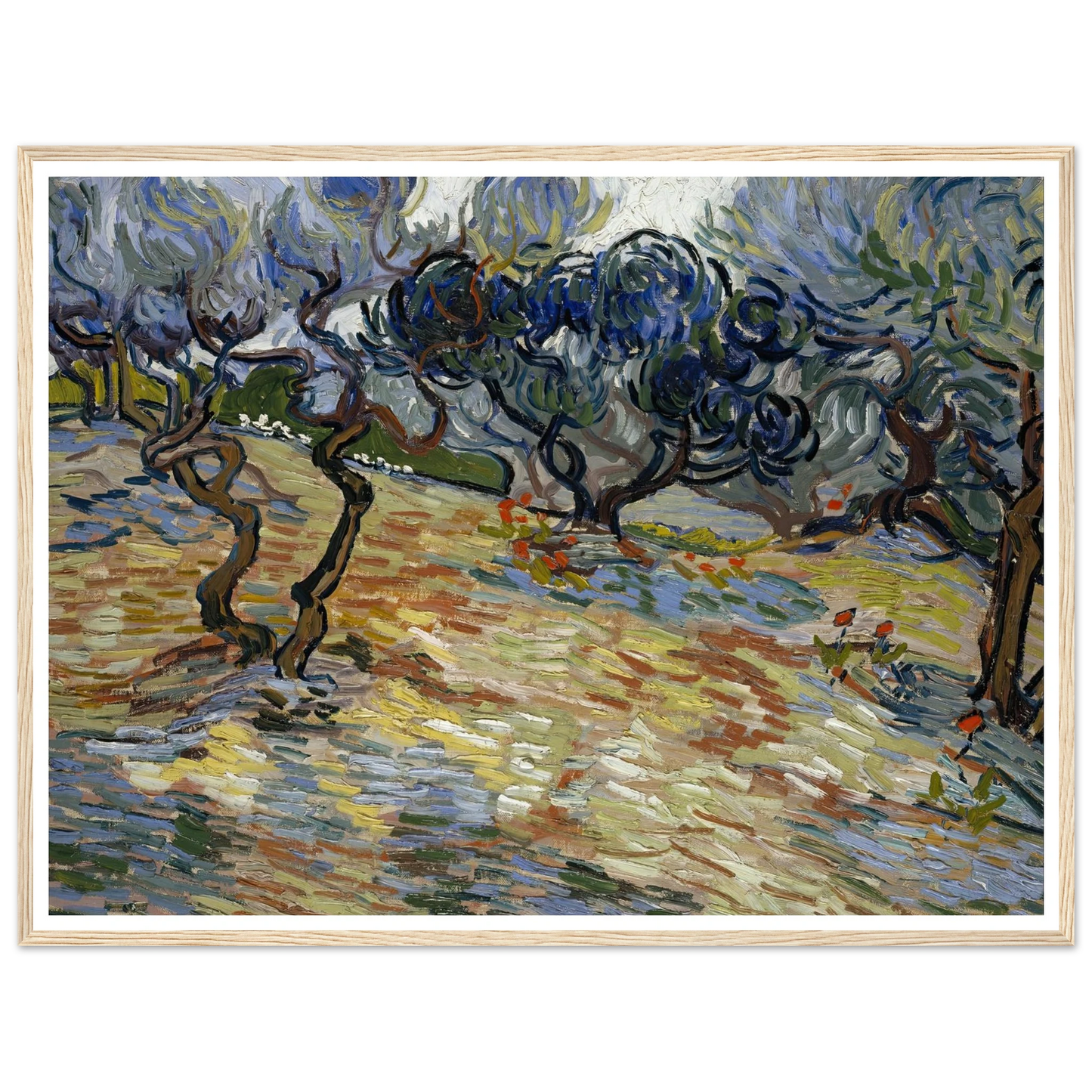 Olive Trees Art Print | Vincent van Gogh - Framed Poster - 30x40 cm / 12x16″ - Black frame