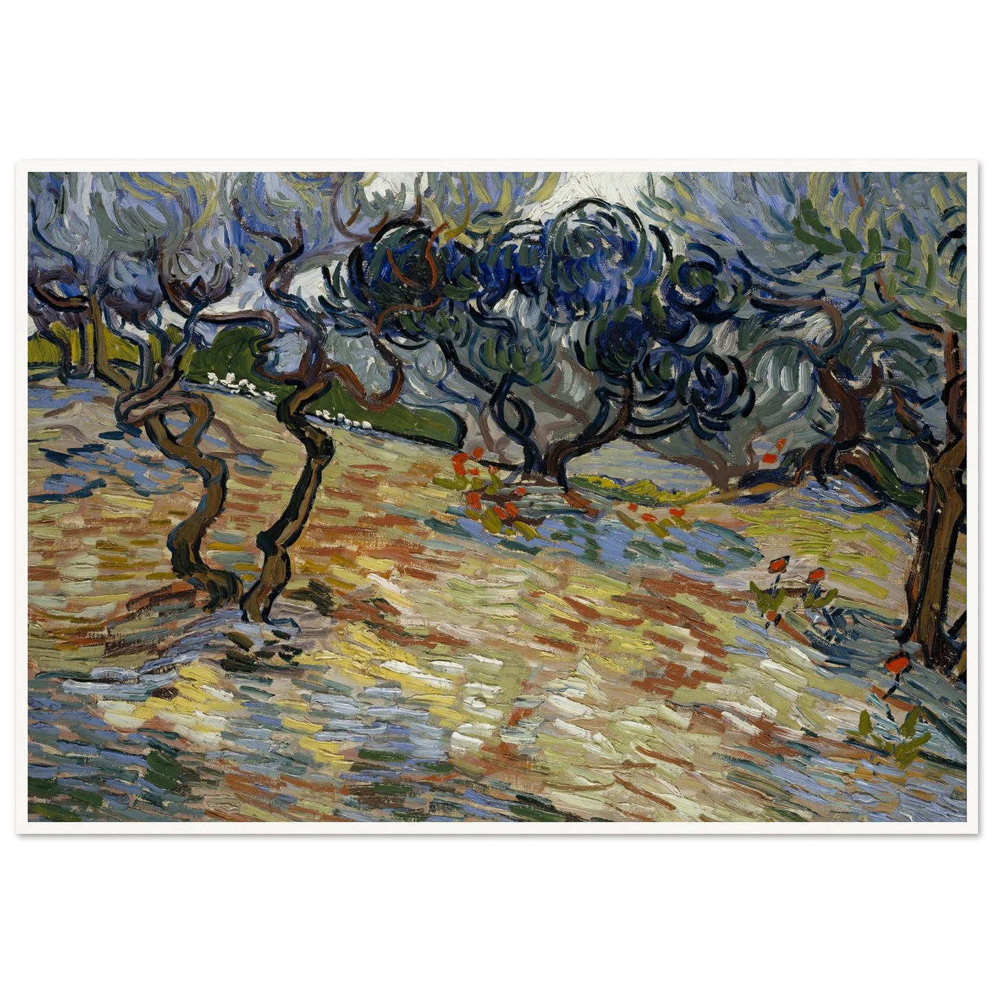 Olive Trees Art Print | Vincent van Gogh - Framed Poster - 30x40 cm / 12x16″ - Black frame