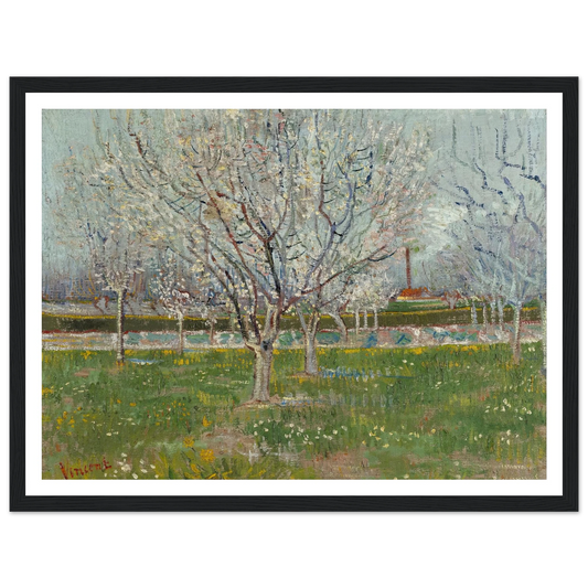 Orchard in Blossom (Plum Trees) Art Print | Vincent van Gogh - Framed Poster - 30x40 cm / 12x16″ - Black frame