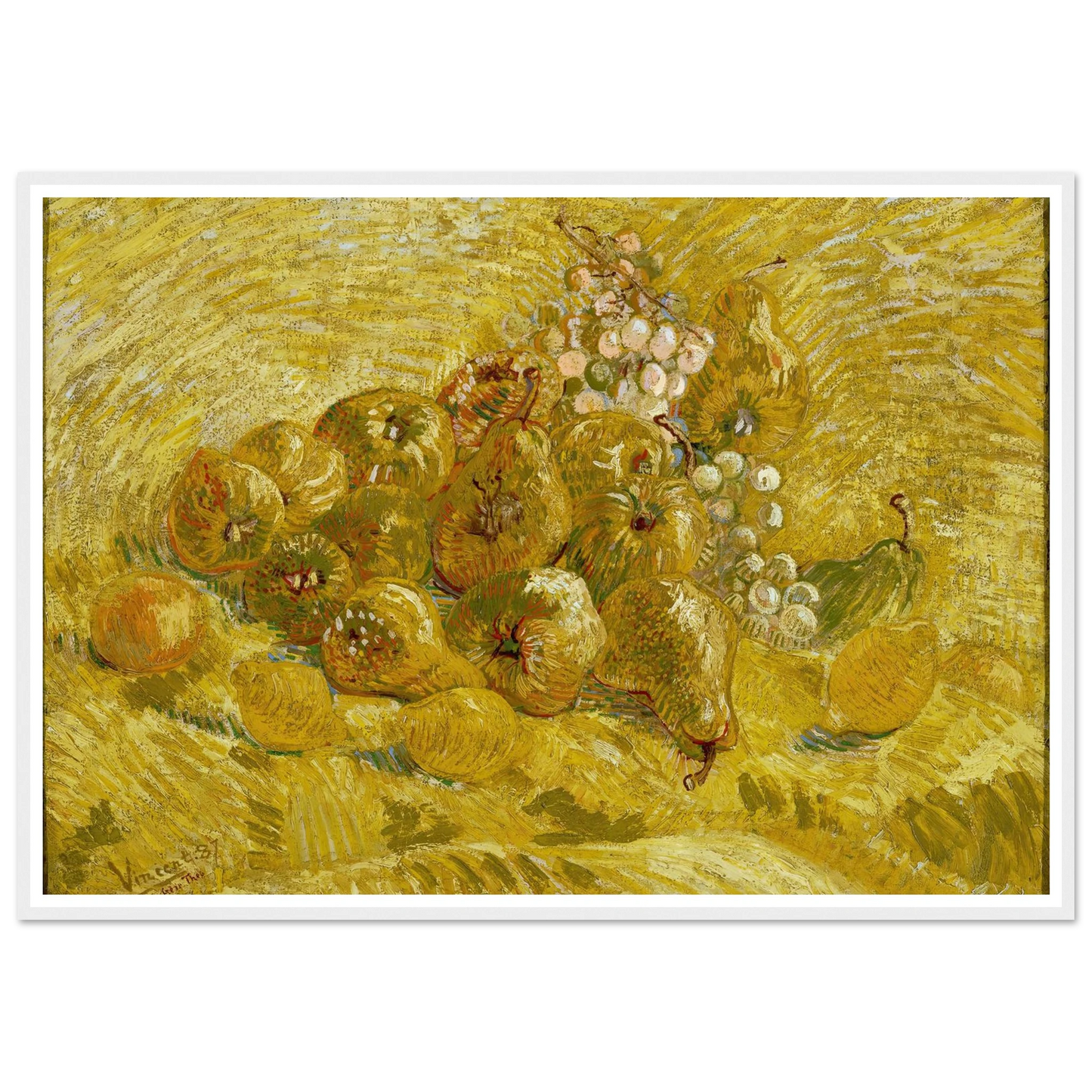 Quinces, lemons, pears and grapes (from 1887 until 1888) Art Print | Vincent van Gogh - Framed Poster - 30x40 cm / 12x16″ - Black frame