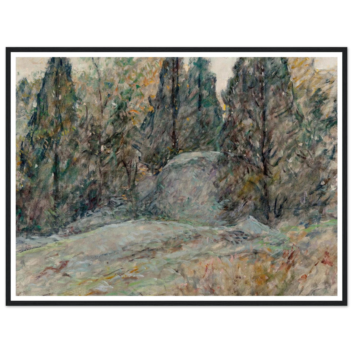 Red Cedars and Rocks Art Print | Robert Reid - Framed Poster - 30x40 cm / 12x16″ - Black frame