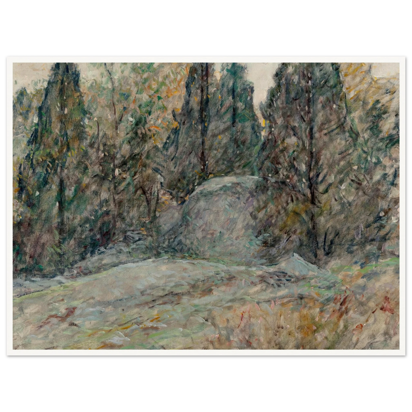 Red Cedars and Rocks Art Print | Robert Reid - Framed Poster - 30x40 cm / 12x16″ - Black frame