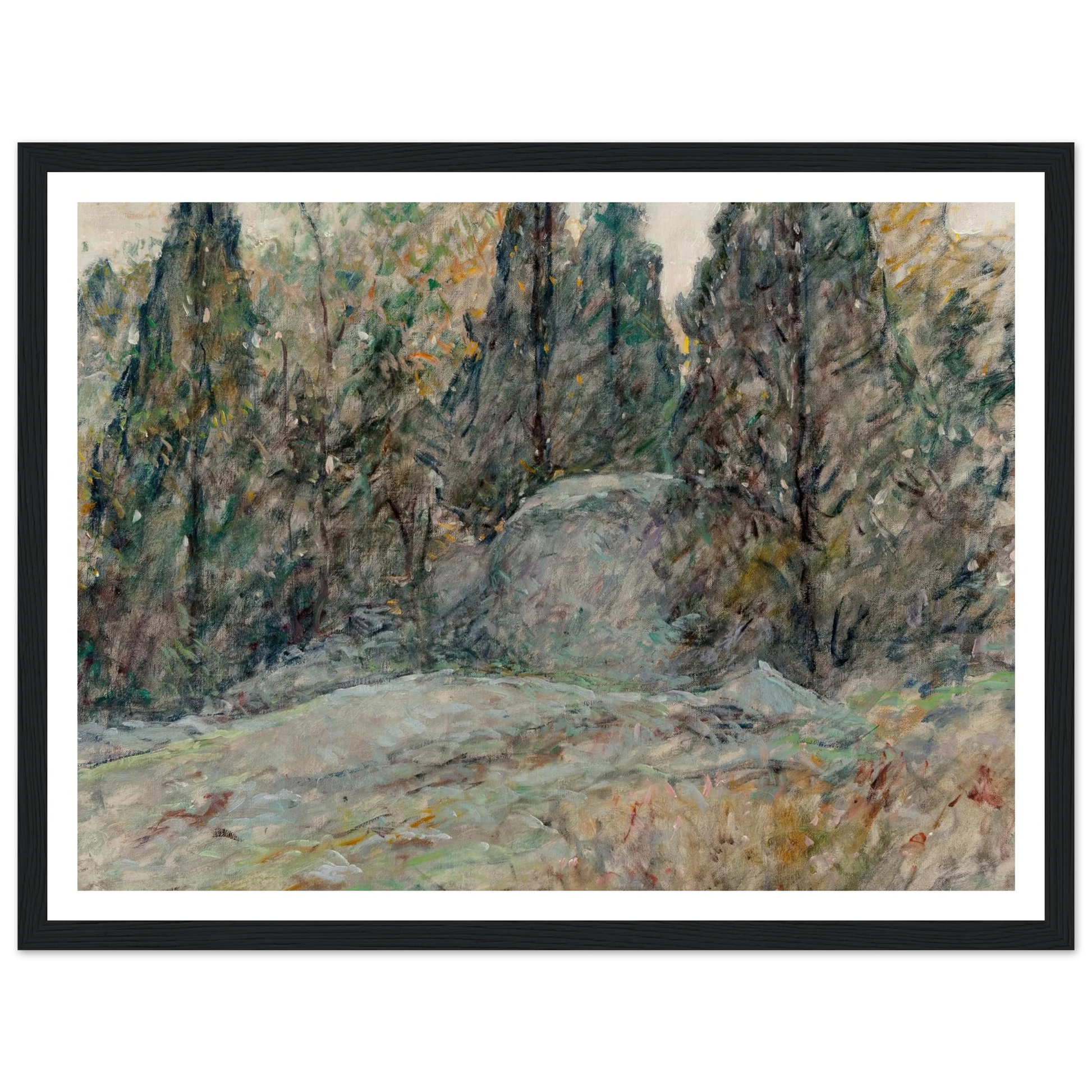 Red Cedars and Rocks Art Print | Robert Reid - Framed Poster - 30x40 cm / 12x16″ - Black frame