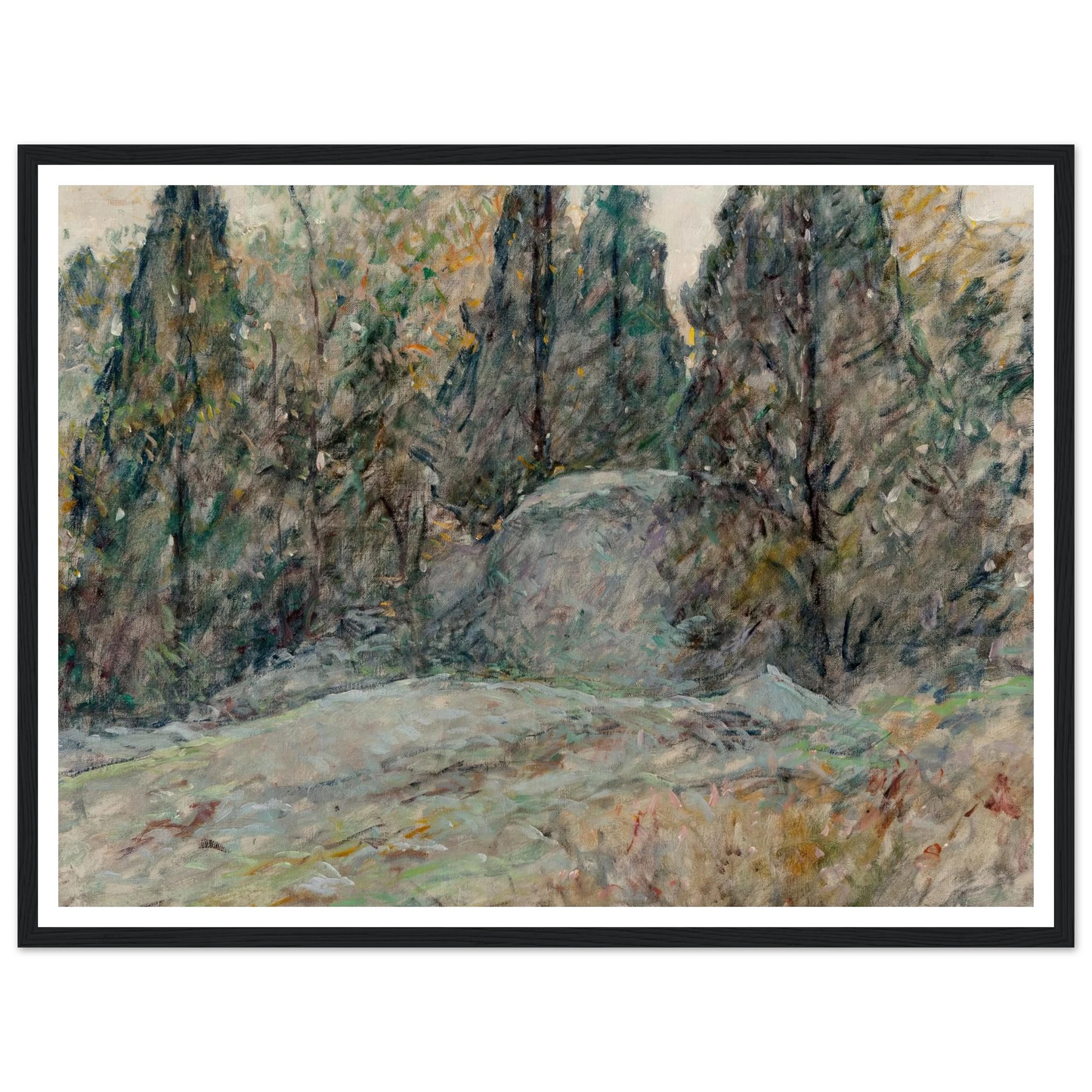 Red Cedars and Rocks Art Print | Robert Reid - Framed Poster - 30x40 cm / 12x16″ - Black frame