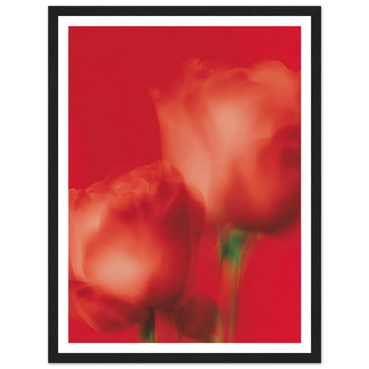 Red Roses - Framed Poster - 30x40 cm / 12x16″ - Black frame