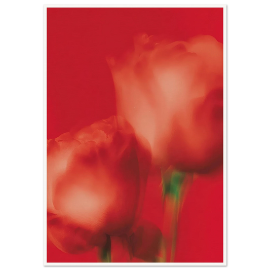 Red Roses - Framed Poster - 30x40 cm / 12x16″ - Black frame