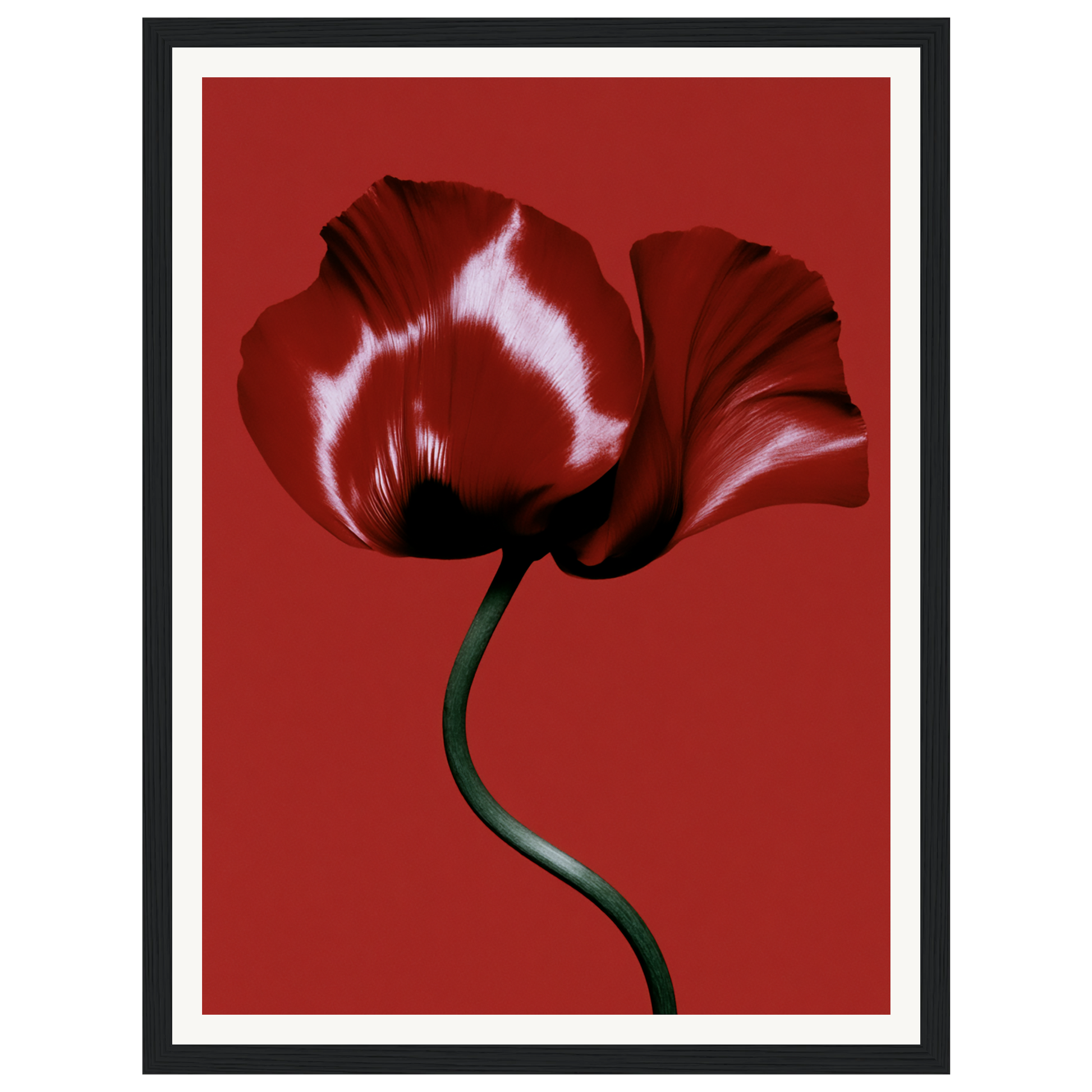 Velvet Poppy — s0_framed_black