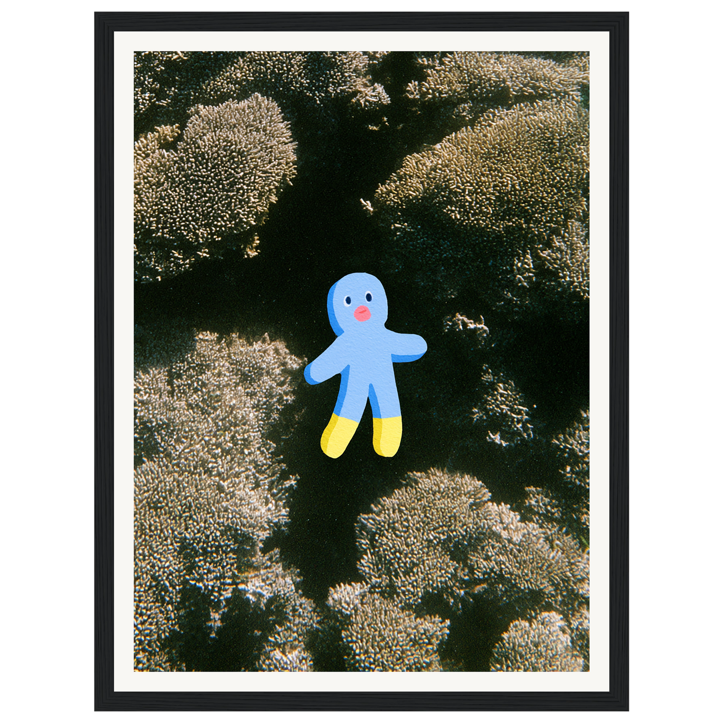 Ocean Wonder — s0_framed_black