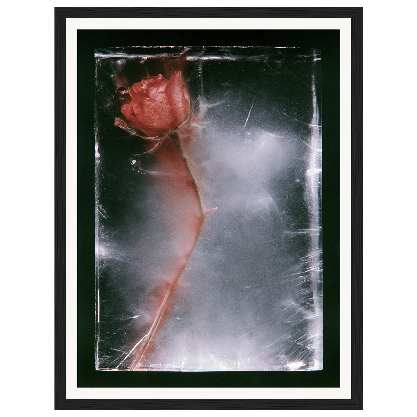 Quiet Fade — s0_framed_black