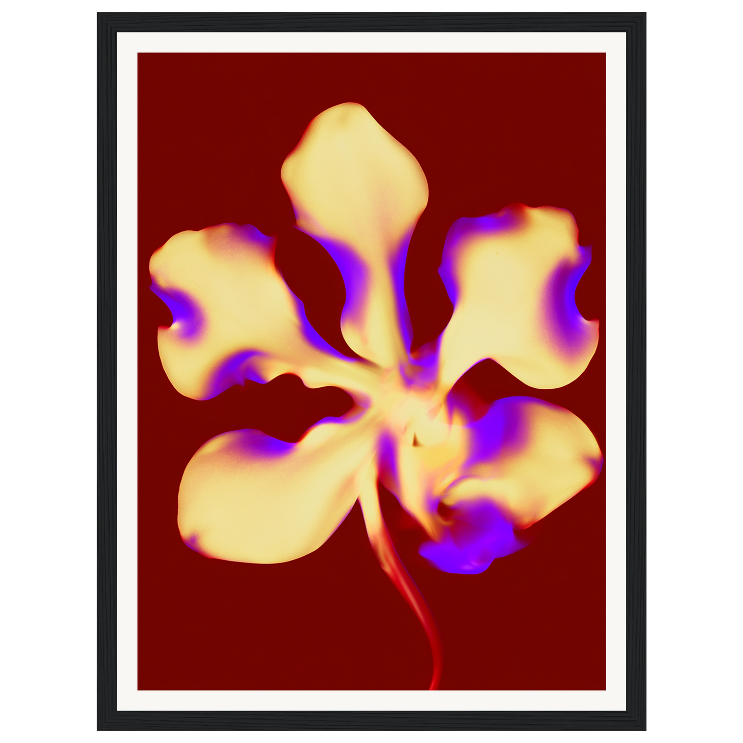 Golden Petal — s0_framed_black
