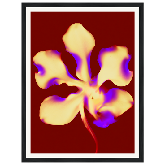 Golden Petal — s0_framed_black