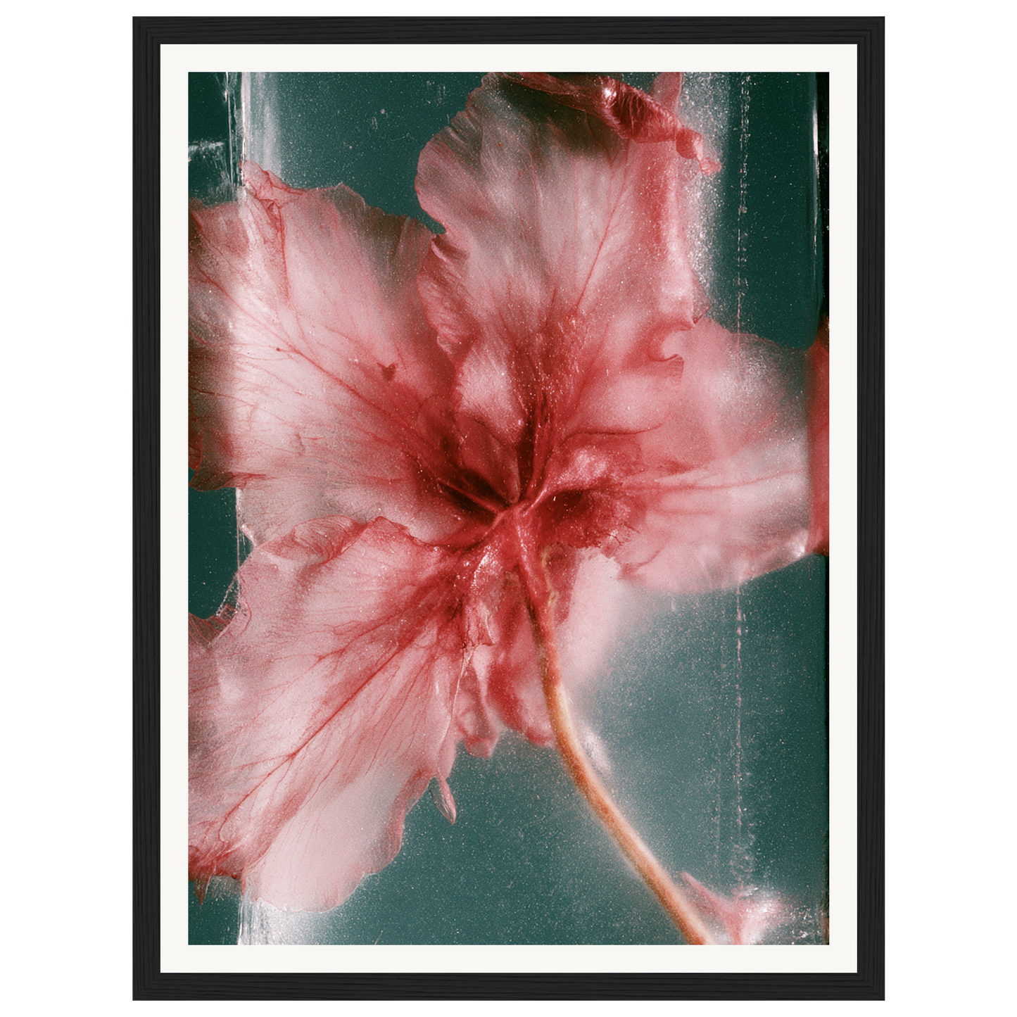 Wild Heart — s0_framed_black