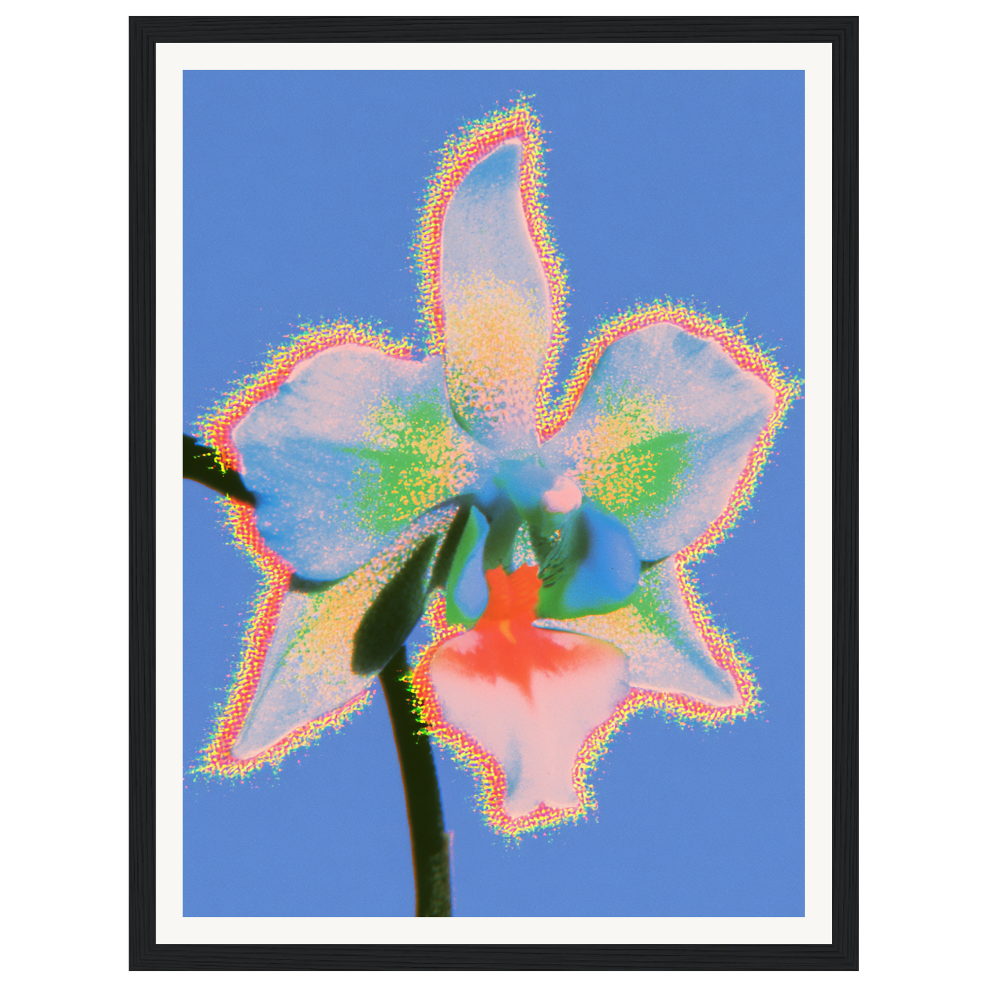 Pure Light — s0_framed_black