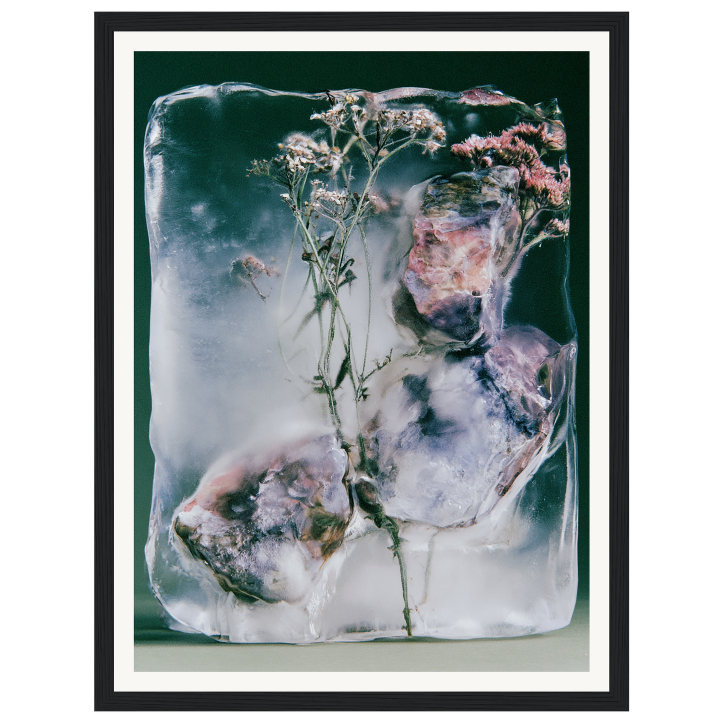 Winter Bloom — s0_framed_black