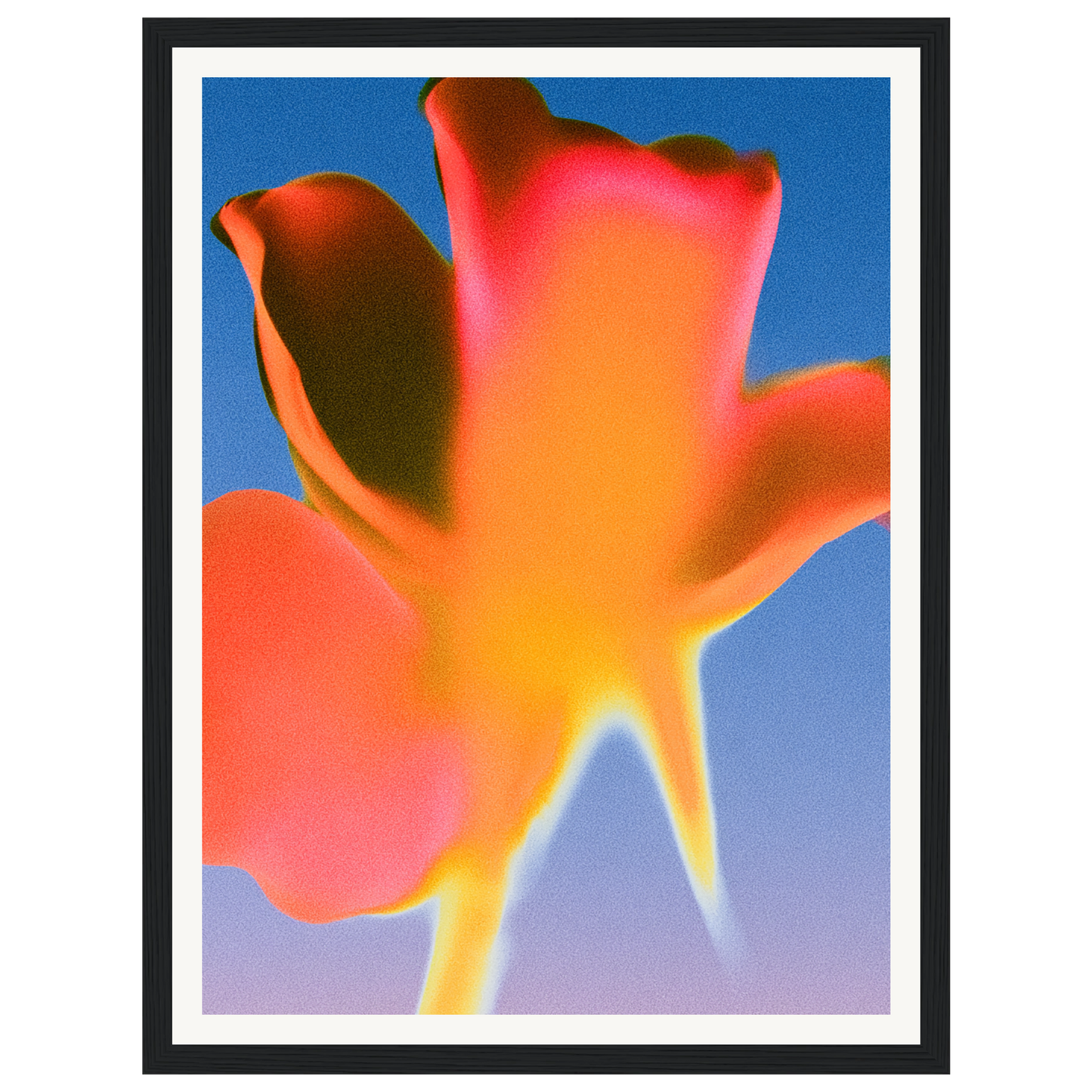 Sunset Glow — s0_framed_black