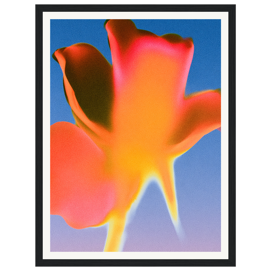 Sunset Glow — s0_framed_black