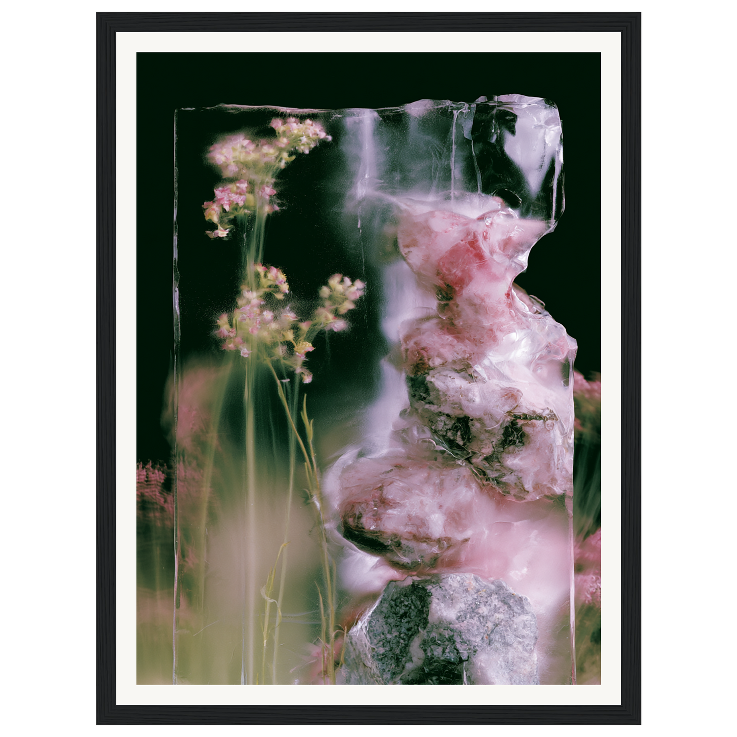 Frozen Whisper — s0_framed_black
