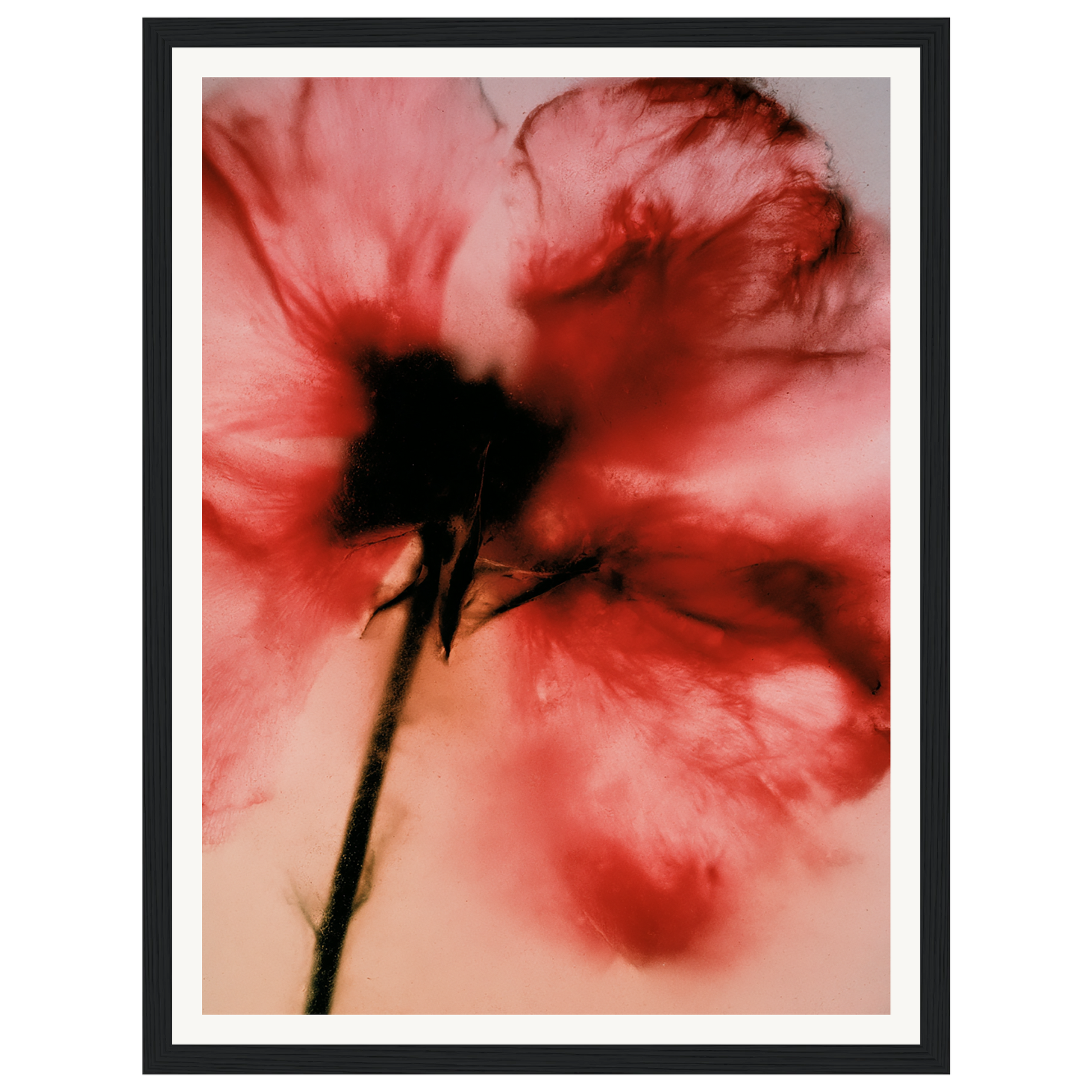 Crimson Whisper — s0_framed_black